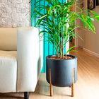 Vaso de Planta Pequeno Plástico 51x33cm Chumbo Japi