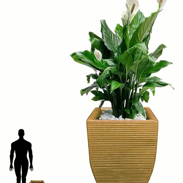 Vaso De Planta Quadrado 45x35 Vtf45 Areia - Foster