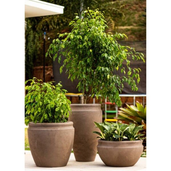 Vaso De Plantas Decorativo Antique 44 Japi Preto Ardosia | Leroy