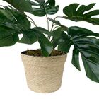 Vaso De Plástico Decorativo Com Corda Sisal Revestida