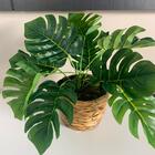 Vaso De Plástico Decorativo Com Palha Natural Revestida