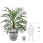 Vaso de Plástico Essencial 41x46cm Cinza Japi