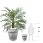 Vaso de Plástico Essencial 50x57cm Cinza Japi