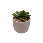 Vaso De Suculenta Caneca Cinza