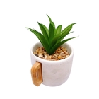 Vaso De Suculenta Caneca Cinza