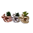 Vaso De Suculenta De Plástico Caracol Dec051 Prata