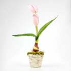 Vaso De Tulipa Rosa Em Bulbo Arranjo Artificial 30 Cm