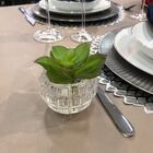 Vaso De Vidro Decoração Moderna F-6 6cm Axisray