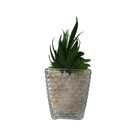 Vaso De Vidro Decorativo Com Suculenta Pedra:branca