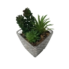 Vaso De Vidro Decorativo Com Suculenta Pedra:marrom