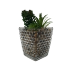 Vaso De Vidro Decorativo Com Suculenta Pedra:marrom