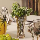 Vaso De Vidro Diamond Ambar Metalizado 8 X 8 X 15 Cm