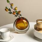 Vaso De Vidro Luxuoso E Moderno Para Plantas Decoração Âmbar