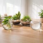 Vaso De Vidro Redondo Tipo Aquário 2,2 Litros Decorativo Para