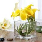 Vaso De Vidro Square Para Plantas Aquario Multifuncoes 12cm