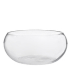 Vaso de Vidro Terrario Transparente