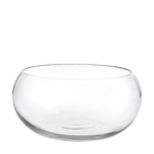 Vaso de Vidro Terrário Transparente