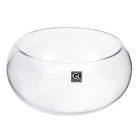 Vaso de Vidro Terrario Transparente