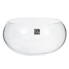 Vaso de Vidro Terrario Transparente