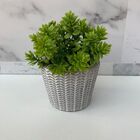 Vaso Decorativo Artesanal De Cimento Trabalhado Com Planta