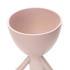 Vaso Decorativo Bob Robert Plant Rosa 14 5x11x10 Cm - Indo De