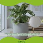 Vaso Decorativo Cilíndrico Rústico  55 Cimento