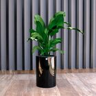 Vaso Decorativo Cilindro Preto 50x34x34 Cm  - Indo Decorar