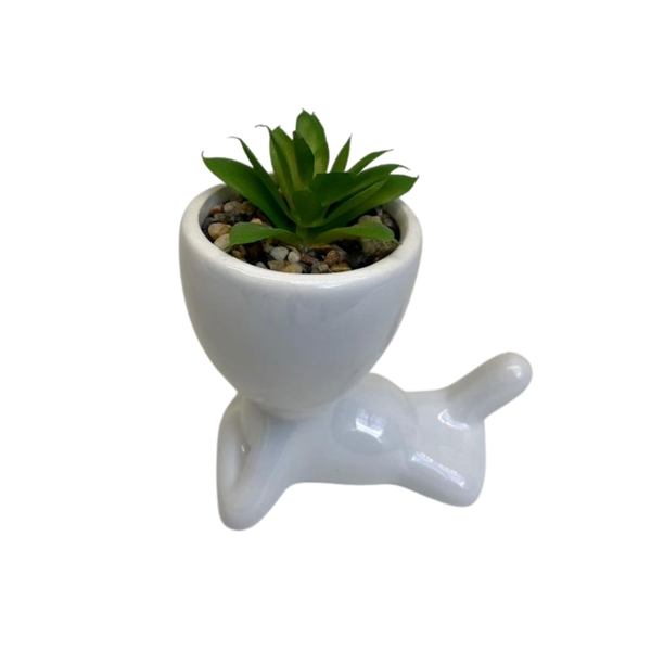 Vaso Decorativo Com Suculenta De Porcelana Branco Ref Ns 3101
