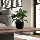 Vaso Decorativo Concept Redondo  N1 Café