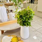 Vaso Decorativo De Cerâmica Circulos G