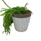 Vaso Decorativo De Cerâmica Estampa Moderna Com Planta Caída