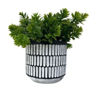 Vaso