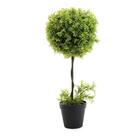 Vaso Decorativo De Grama Vrd/cin 50x20x20cm 1015096 Hubme