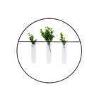 Vaso Decorativo De Parede Em Vidro E Metal Preto 34x2cm - D'r