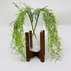 Vaso Decorativo De Vidro Com Tripé De Madeira E Planta Caída