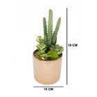 Vaso Decorativo Dourado Com Cactos E Suculenta Artificial - D