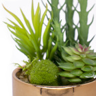 Vaso Decorativo Dourado Com Mix De Suculentas Artificiais - D