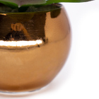 Vaso Decorativo Dourado Com Suculenta Artificial Sedum Hirsut