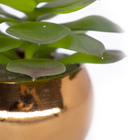 Vaso Decorativo Dourado Com Suculenta Artificial Sedum Hirsut