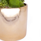 Vaso Decorativo Dourado Com Suculentas Artificiais Sortidas -