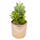 Vaso Decorativo Dourado Com Suculentas Artificiais Sortidas -
