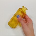 Vaso Decorativo Enfeite Casa Garrafa Home&co Vidro 13x5x5cm A