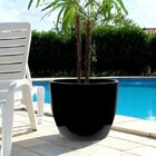 Vaso Decorativo Fibra De Vidro Europa Japi Preto