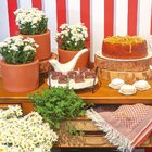 Vaso Decorativo Gramado 12,7 X 16,6cm Terracota