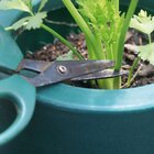 Vaso Decorativo Gramado 12,7 X 16,6cm Verde Escuro