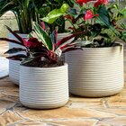 Vaso Decorativo Para Jardim Lagoon 33 Off White