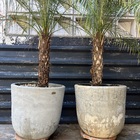 Vaso Decorativo Para O Chão 41x41 P - Burj