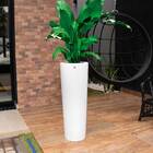 Vaso Decorativo Paris Branco G 86x31cm - D'rossi