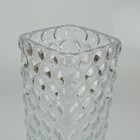 Vaso Decorativo Planta Quadrado Home&co Vidro 29x12x12cm Tran