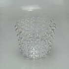 Vaso Decorativo Planta Redondo Home&co Vidro 17x17x17cm Trans